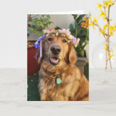 Golden Retriever spring or everyday card Kaart (Gele Bloem)