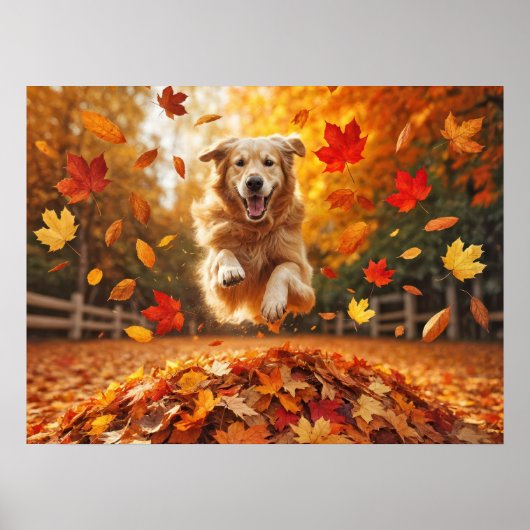 Golden Retriever springen in bladstapel Poster (Voorkant)