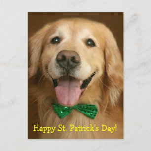 Golden Retriever St. Patrick's Day Briefkaart