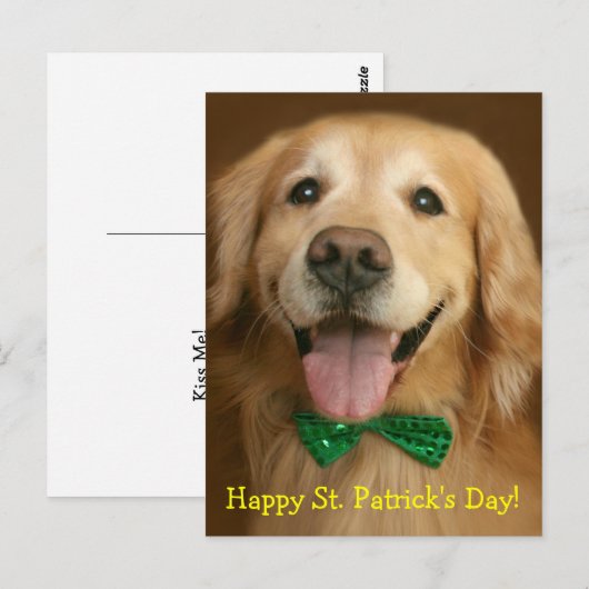 Golden Retriever St. Patrick's Day Briefkaart (Voorkant / Achterkant)