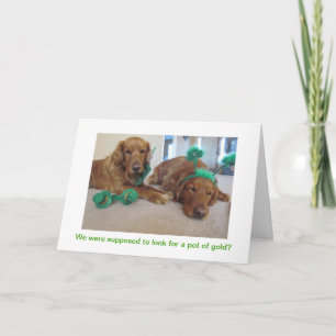 Golden Retriever St. Patrick's Day Card Kaart
