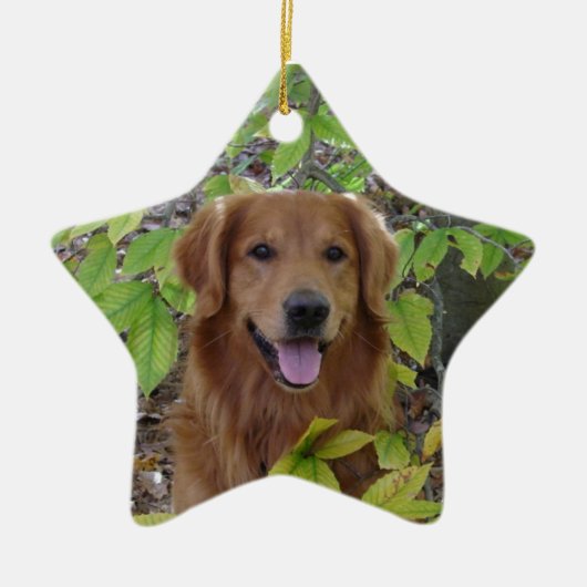 GOLDEN RETRIEVER STAR ORNAMENT (Voorkant)