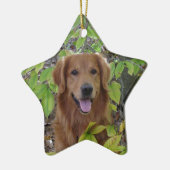 GOLDEN RETRIEVER STAR ORNAMENT (Links)