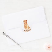 Golden Retriever Sticker (Envelop)