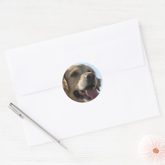 Golden Retriever Sticker (Envelop)