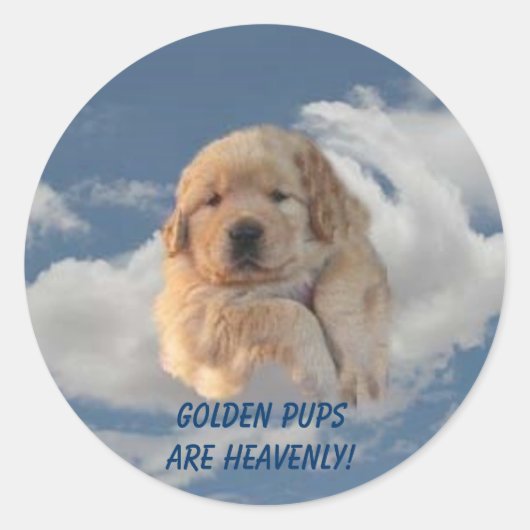 Golden Retriever Sticker Hemelse Puppy (Voorkant)