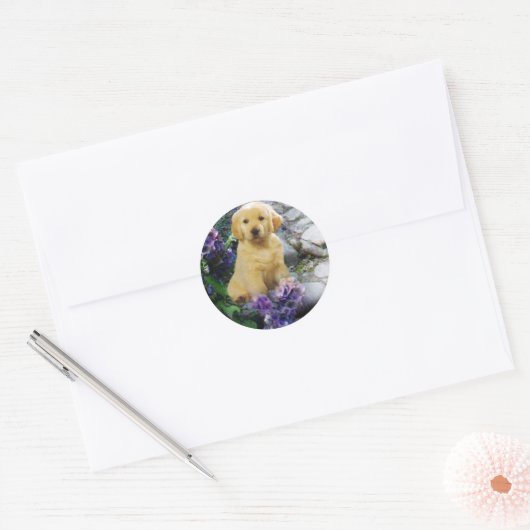 Golden Retriever Sticker Hydrangia (Envelop)