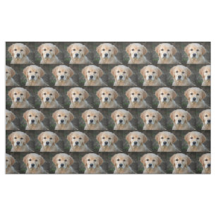 Golden Retriever Stof