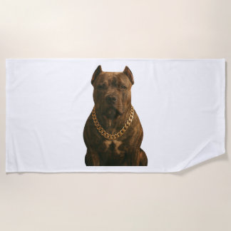 Golden Retriever    Strandlaken