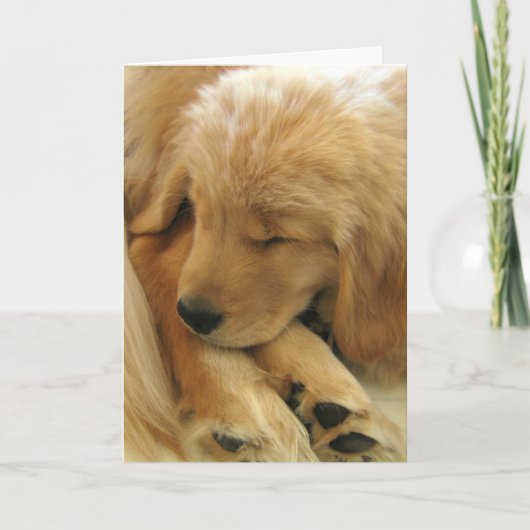 Golden Retriever Sweet Puppy Moederdag Kaart (Voorkant)