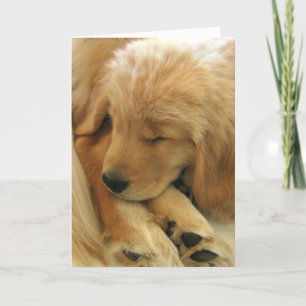 Golden Retriever Sweet Puppy Moederdag Kaart
