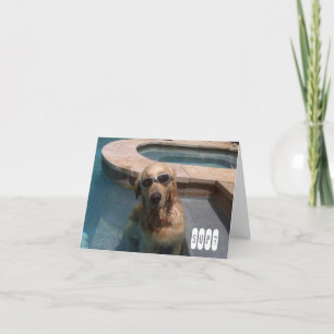 Golden Retriever Swimming Birthday Card Kaart