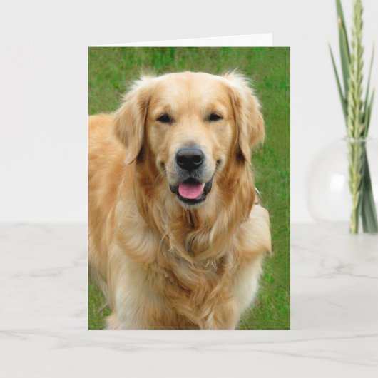 Golden Retriever Sympathie Kaart (Voorkant)