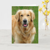 Golden Retriever Sympathie Kaart (Gele Bloem)
