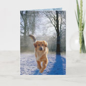 Golden Retriever-sympathiekaart Kaart (Voorkant)