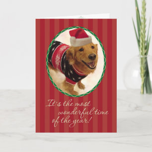 Golden Retriever - Tacky Kerstkeuken Feestdagen Kaart