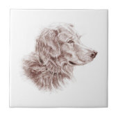 Golden Retriever Tegeltje (Voorkant)