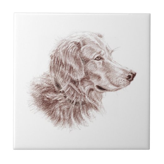 Golden Retriever Tegeltje (Voorkant)