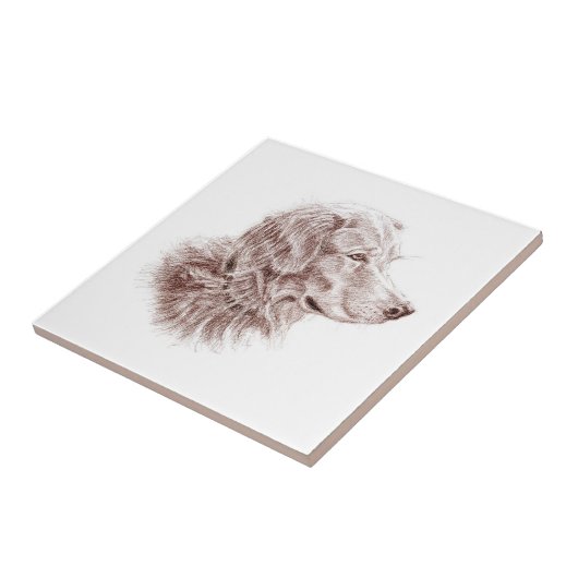 Golden Retriever Tegeltje (Zijkant)