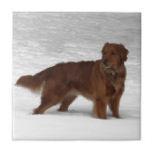 Golden Retriever Tegeltje (Voorkant)
