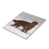 Golden Retriever Tegeltje (Zijkant)