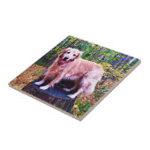 Golden Retriever Tegeltje (Zijkant)