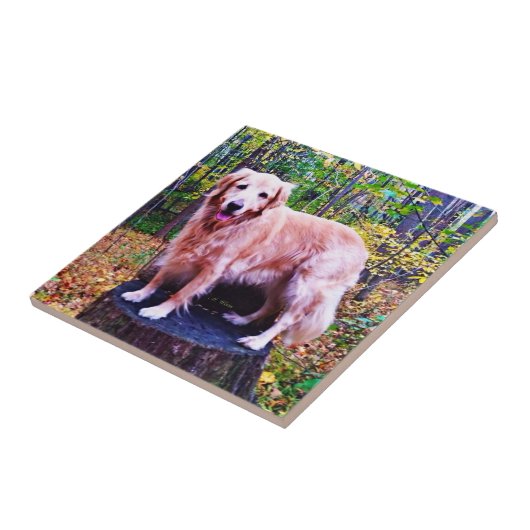 Golden Retriever Tegeltje (Zijkant)