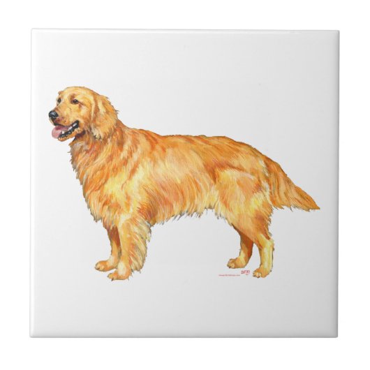 Golden Retriever Tegeltje (Voorkant)