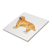 Golden Retriever Tegeltje (Zijkant)