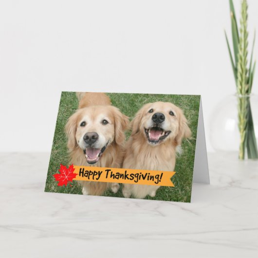 Golden Retriever Thanksgiving Day Wishes Feestdagen Kaart (Voorkant)