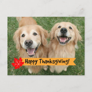 Golden Retriever Thanksgiving Day Wishes Feestdagenkaart