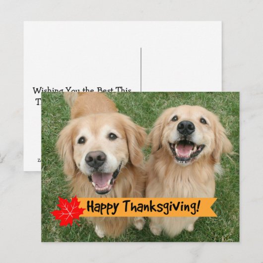 Golden Retriever Thanksgiving Day Wishes Feestdagenkaart (Voorkant / Achterkant)
