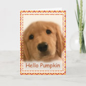 Golden Retriever Thanksgiving Hallo Kaart (Voorkant)