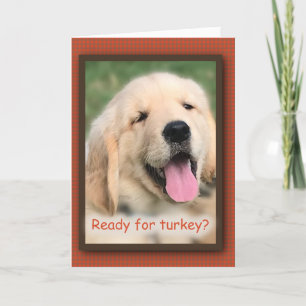 Golden Retriever Thanksgiving Turkije Wenskaart Feestdagen Kaart
