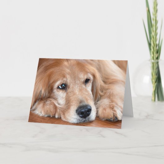 golden retriever-thinking of you kaart (Voorkant)