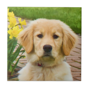 Golden Retriever Tile Tegeltje