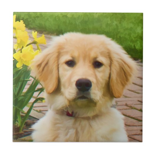 Golden Retriever Tile Tegeltje (Voorkant)