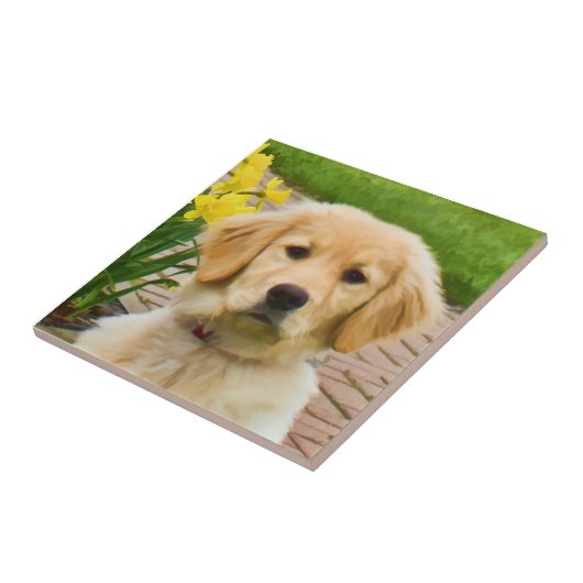 Golden Retriever Tile Tegeltje (Zijkant)