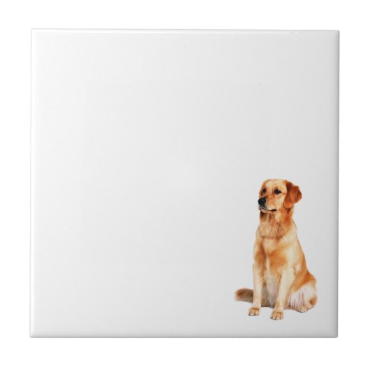 Golden Retriever Tile Tegeltje (Voorkant)