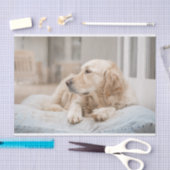 Golden Retriever Tissue Paper Tissuepapier (Craft)