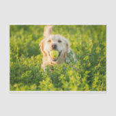 Golden Retriever Tissue Paper Tissuepapier (Voorkant)