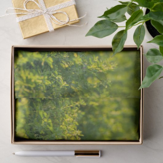 Golden Retriever Tissue Paper Tissuepapier (Geschenk)