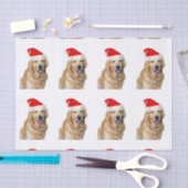 Golden Retriever Tissuepapier (Craft)