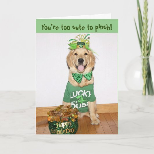 Golden Retriever to Cute to Pinch St. Patty Day Feestdagen Kaart (Voorkant)