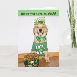 Golden Retriever to Cute to Pinch St. Patty Day Feestdagen Kaart