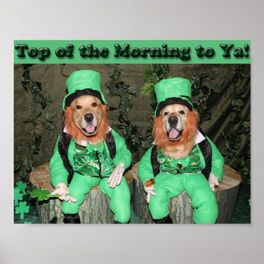 Golden Retriever Top van de Morning Leprechauns Poster (Voorkant)