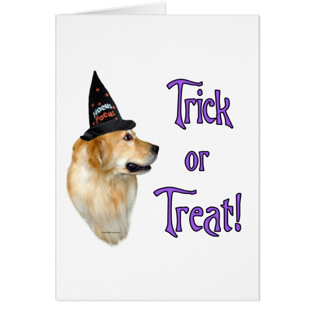 Golden Retriever Trick (Voorkant)