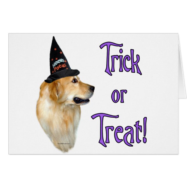 Golden Retriever Trick (Voorkant Horizontaal)