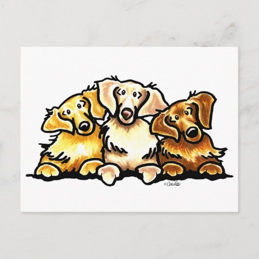 Golden Retriever Trio Briefkaart (Voorkant)