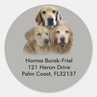 Golden Retriever Trio Retouradresstempel Ronde Sticker